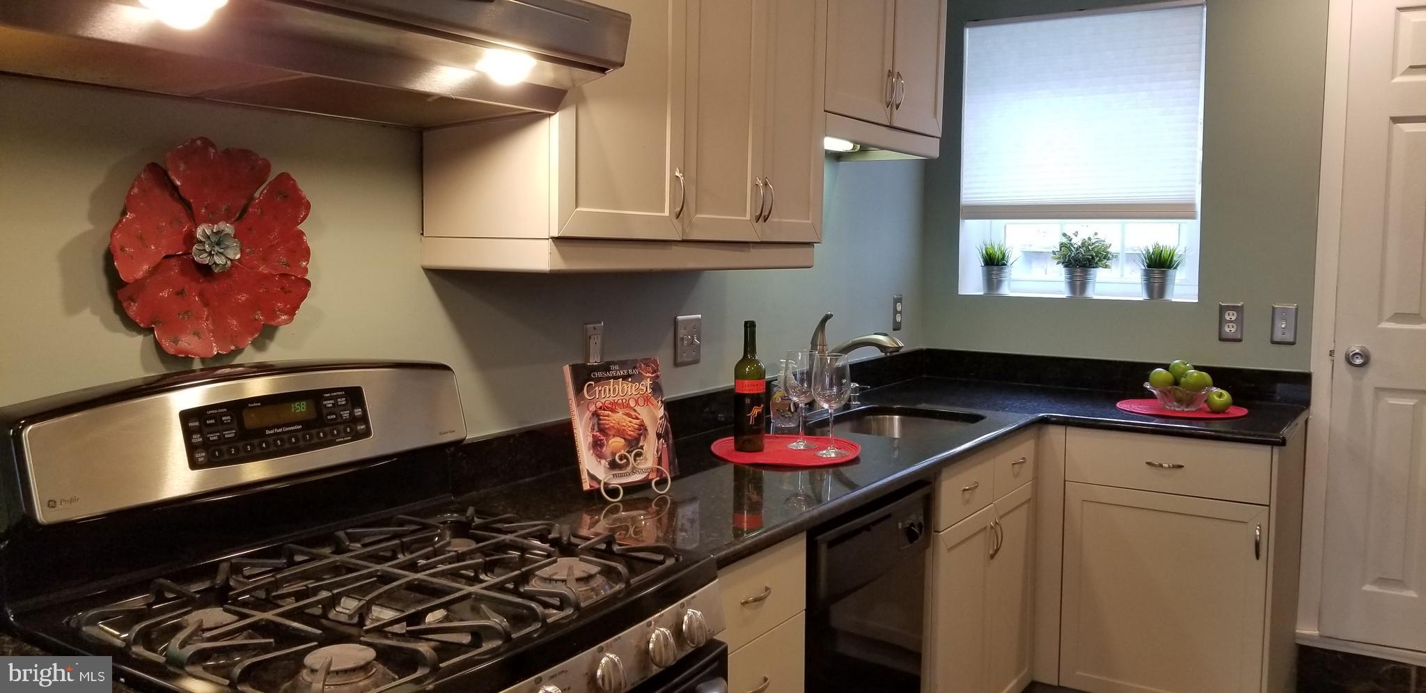 313 South Madeira Street Baltimore, MD 21231 - Photo 7 of 22 Plenty of light in the hood with gas cooking!