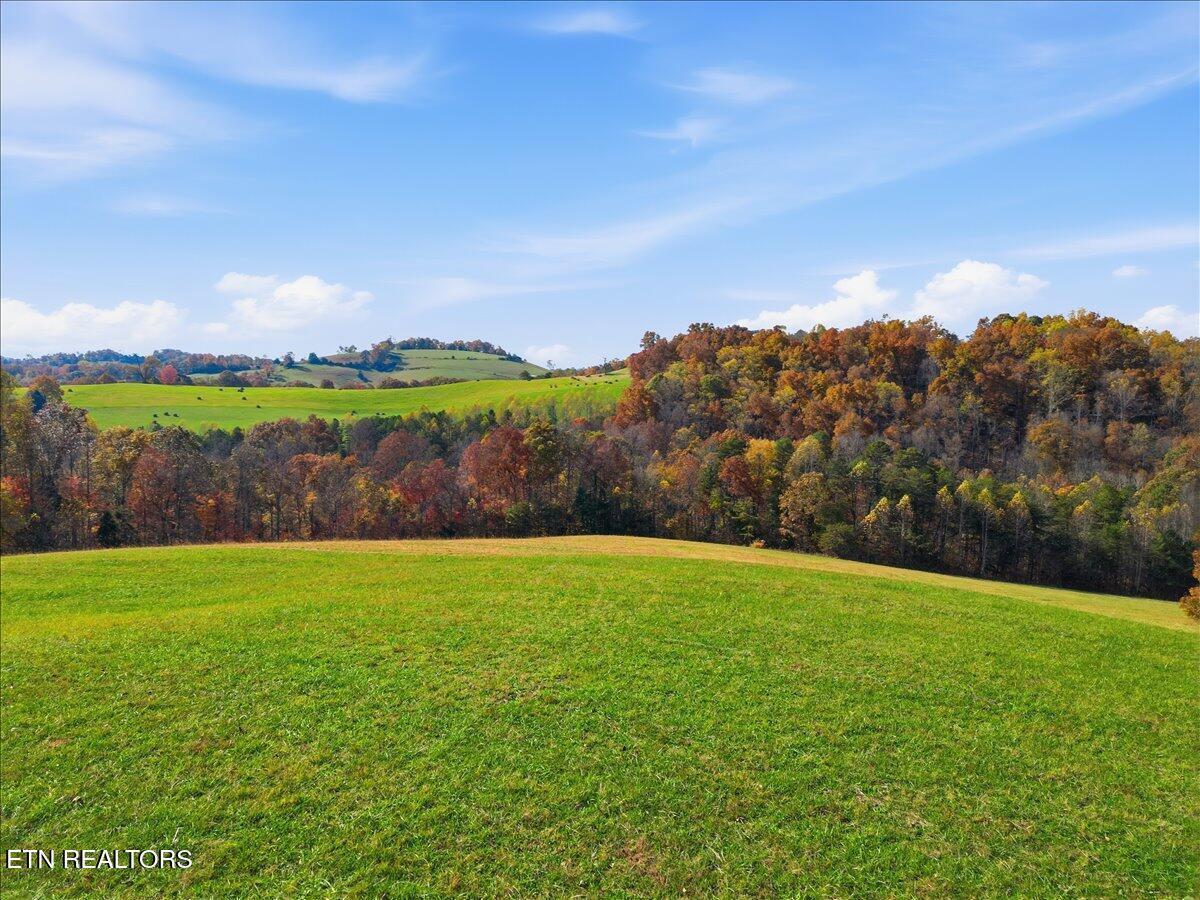 Tbd Oak Grove Church Road Harrogate, TN 37752 - Photo 12 of 21 Copy of 11-DJI_0597