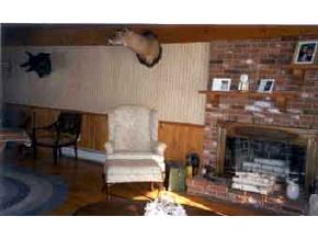 64-aa Hayes Road Alton, NH 03809 - Photo 3 of 4