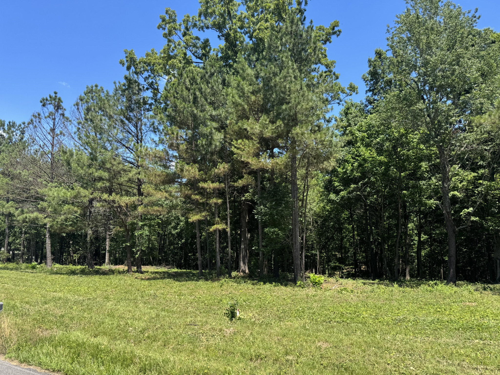 0 Nancy Shawl Road Dickson, TN 37055 - Photo 4 of 5