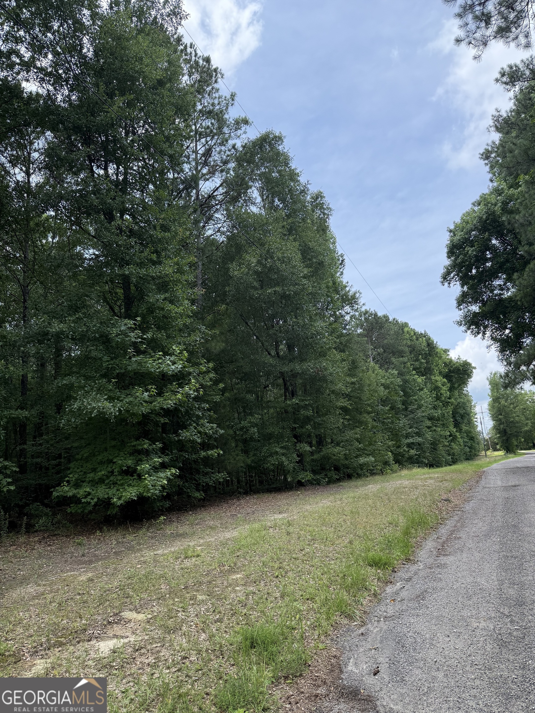 148 Hillview Road, Unit LOT#148 Hampton, GA 30228 - Photo 4 of 6