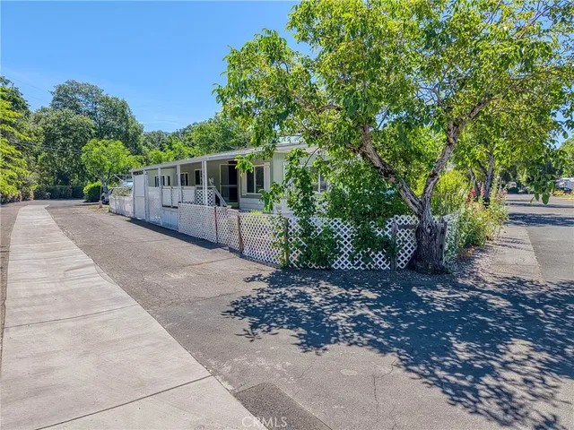 a view of a backyard with large trees and plants