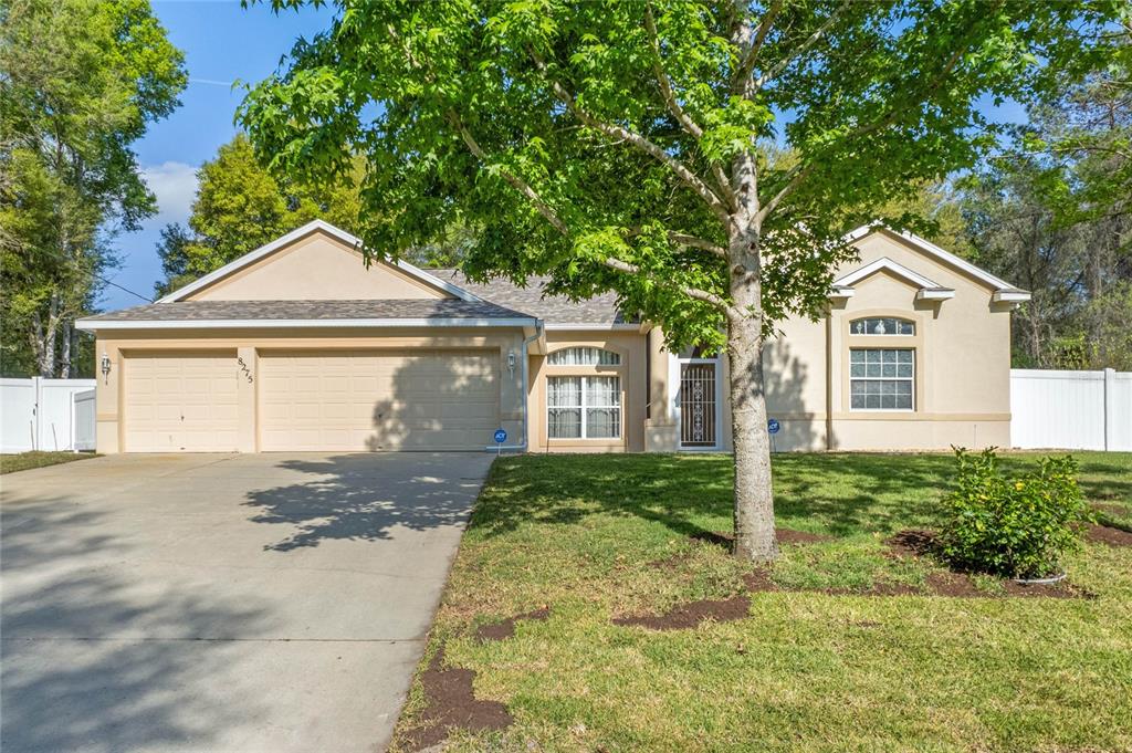 8275 North Lamont Dr