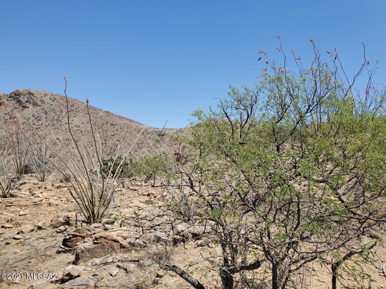 1695 Vía San Cayetano, Unit 7 Rio Rico, AZ 85648 - Photo 26 of 36