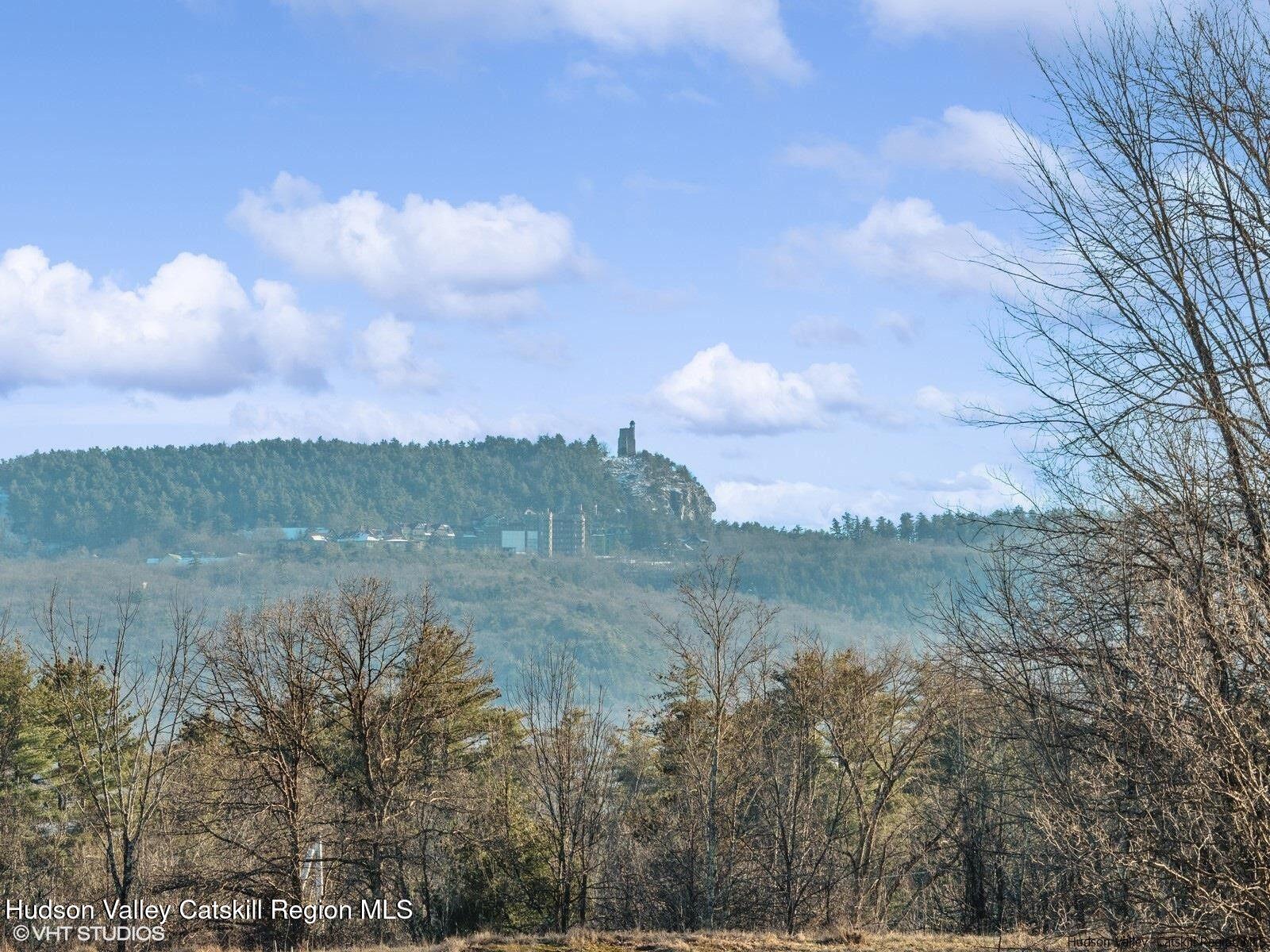 29 Rest Plaus Road Stone Ridge, NY 12484 - Photo 3 of 44 29 rest view