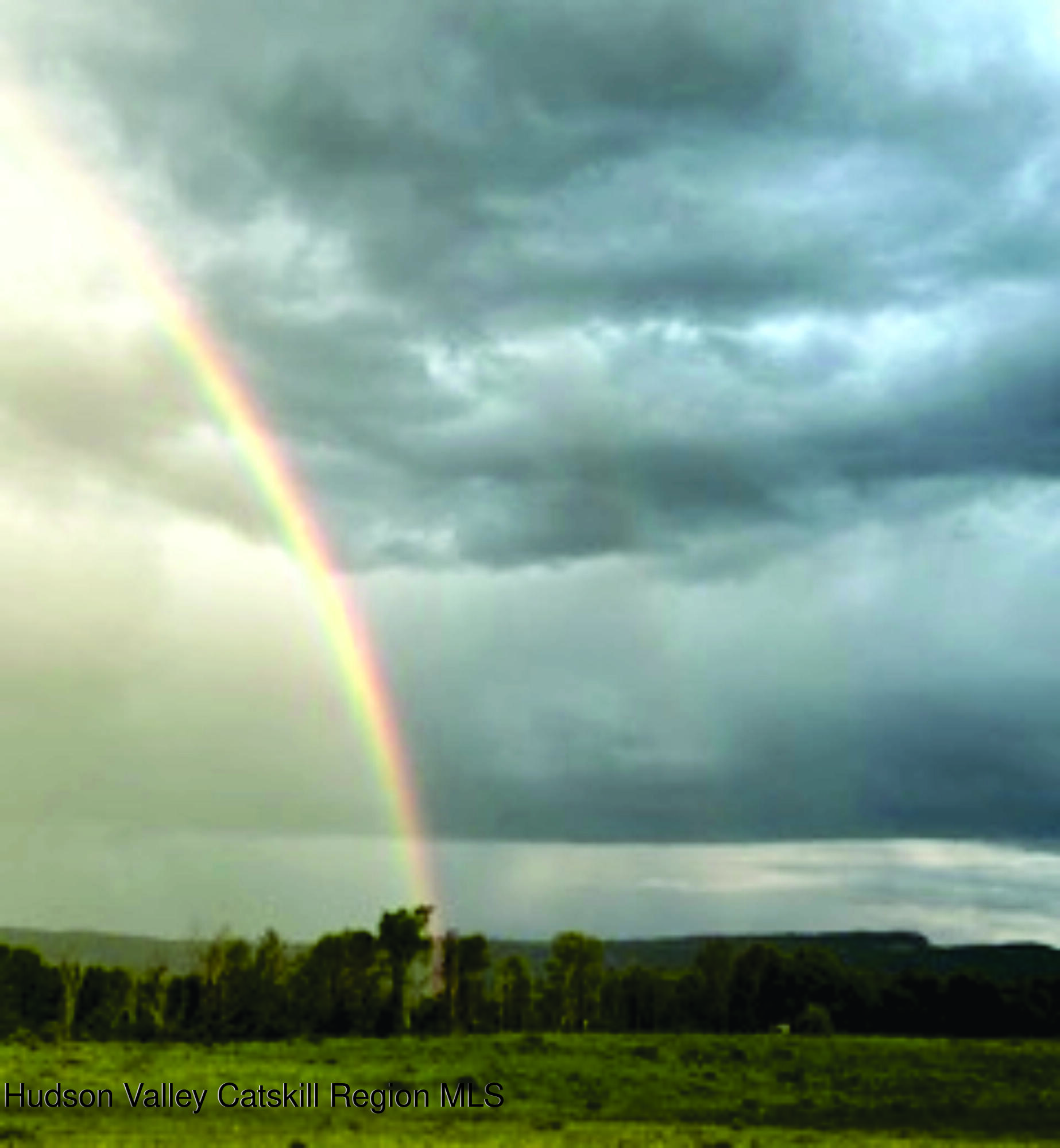 29 Rest Plaus Road Stone Ridge, NY 12484 - Photo 4 of 44 RP5