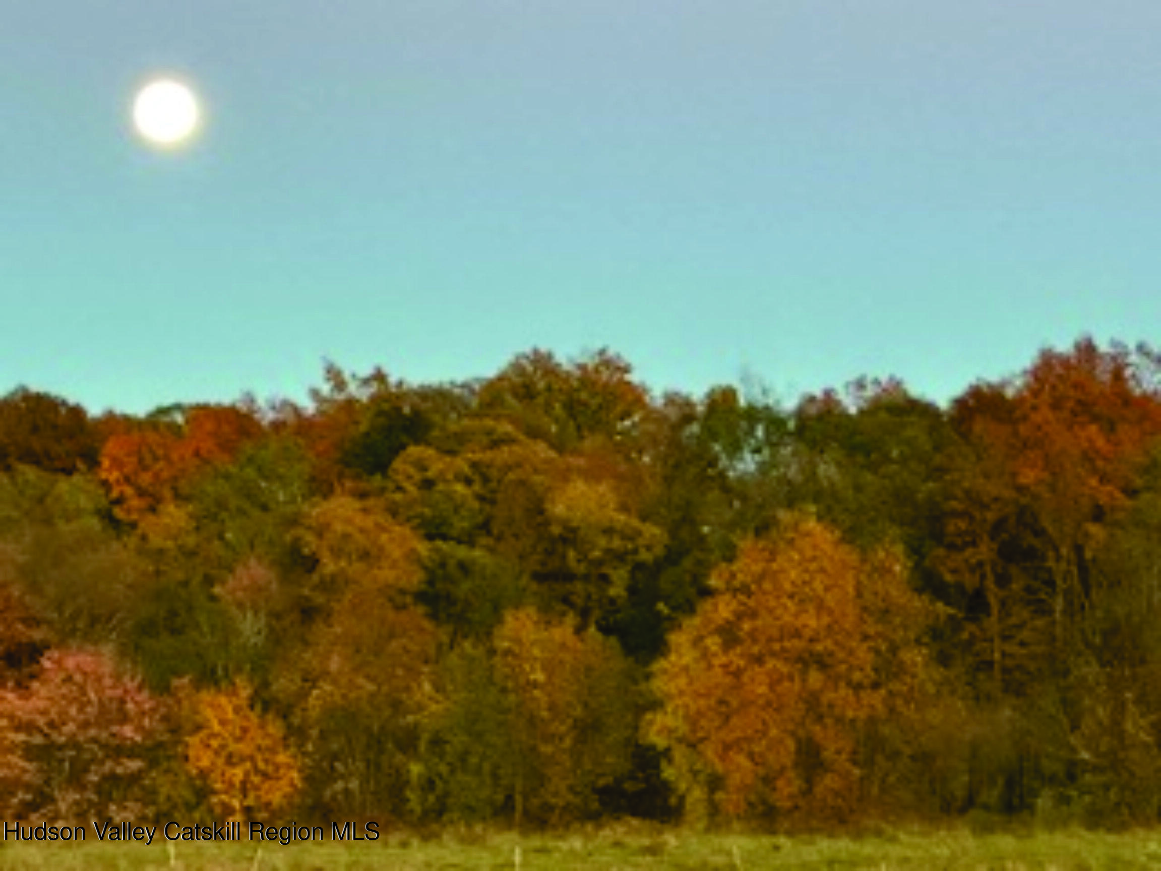 29 Rest Plaus Road Stone Ridge, NY 12484 - Photo 40 of 44 RP4