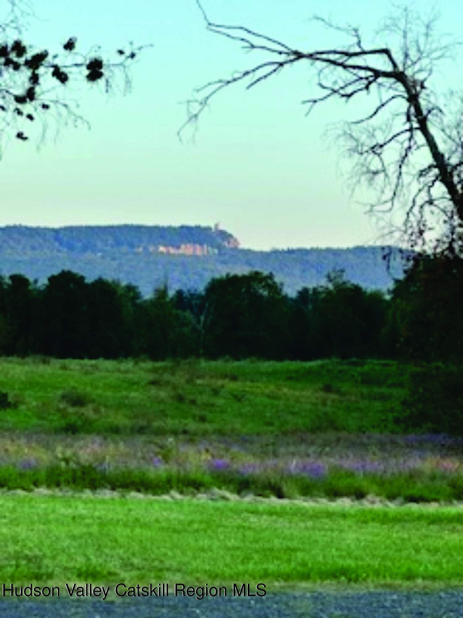 29 Rest Plaus Road Stone Ridge, NY 12484 - Photo 41 of 44 RP 1