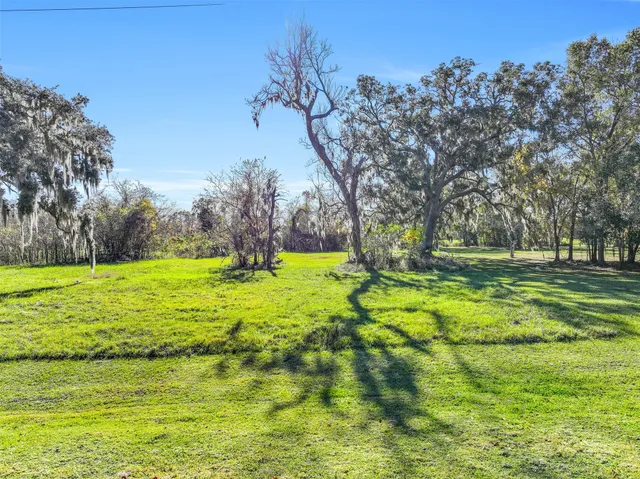 a view of swimming pool with tree s