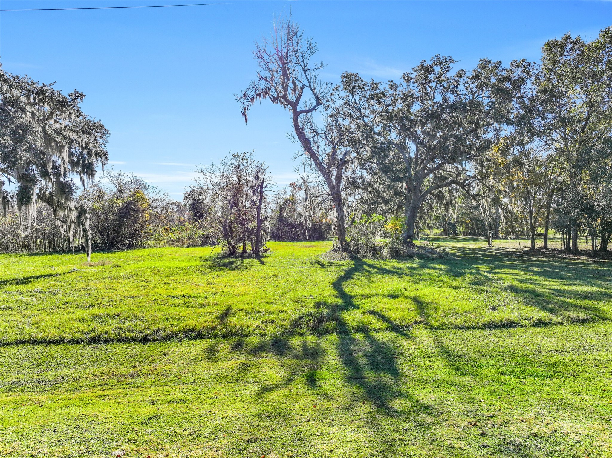 1031 Winchester Trail Angleton, TX 77515 - Photo 1 of 19 a view of swimming pool with tree s