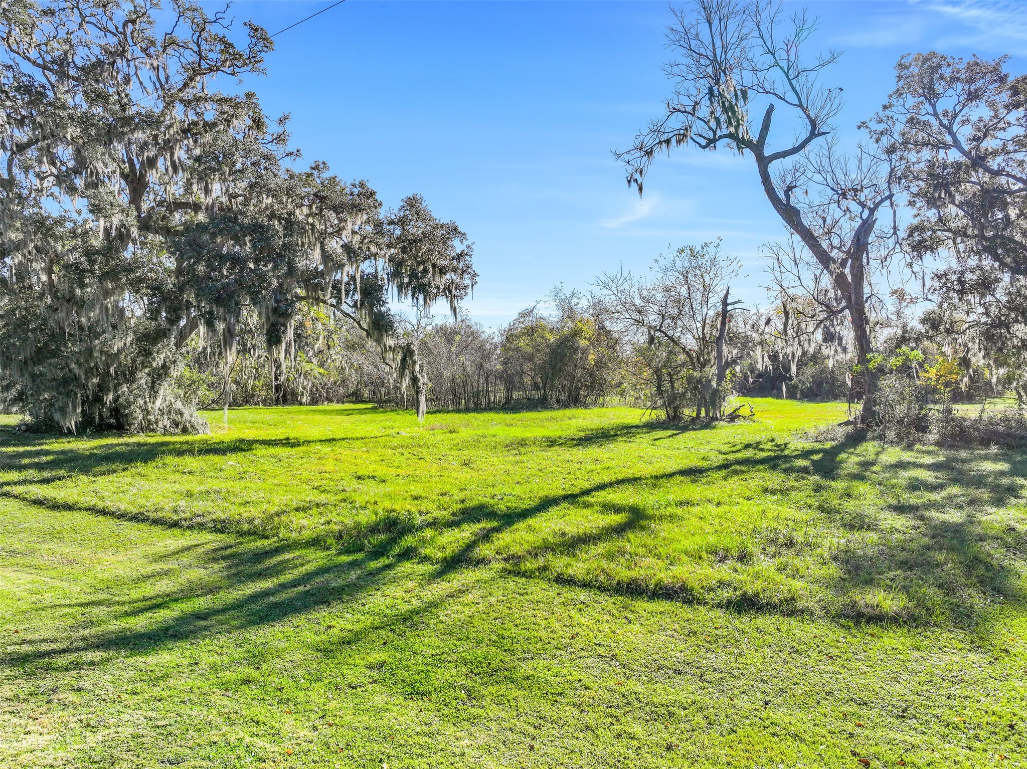 1031 Winchester Trail Angleton, TX 77515 - Photo 2 of 19 a view of a golf course