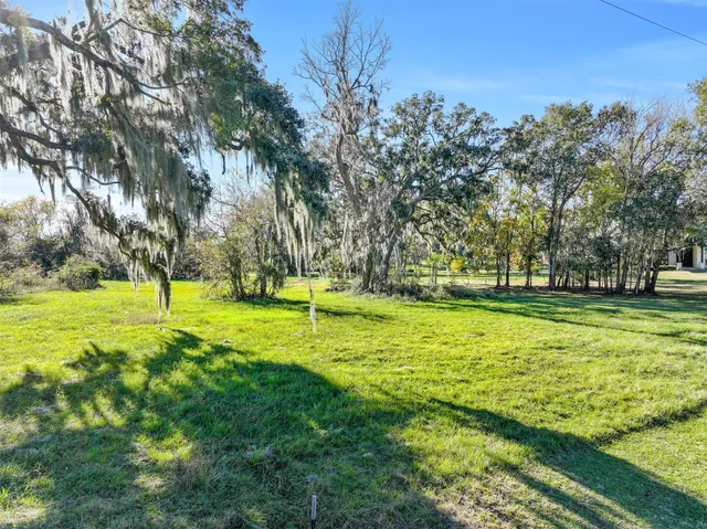 a view of a park with large trees