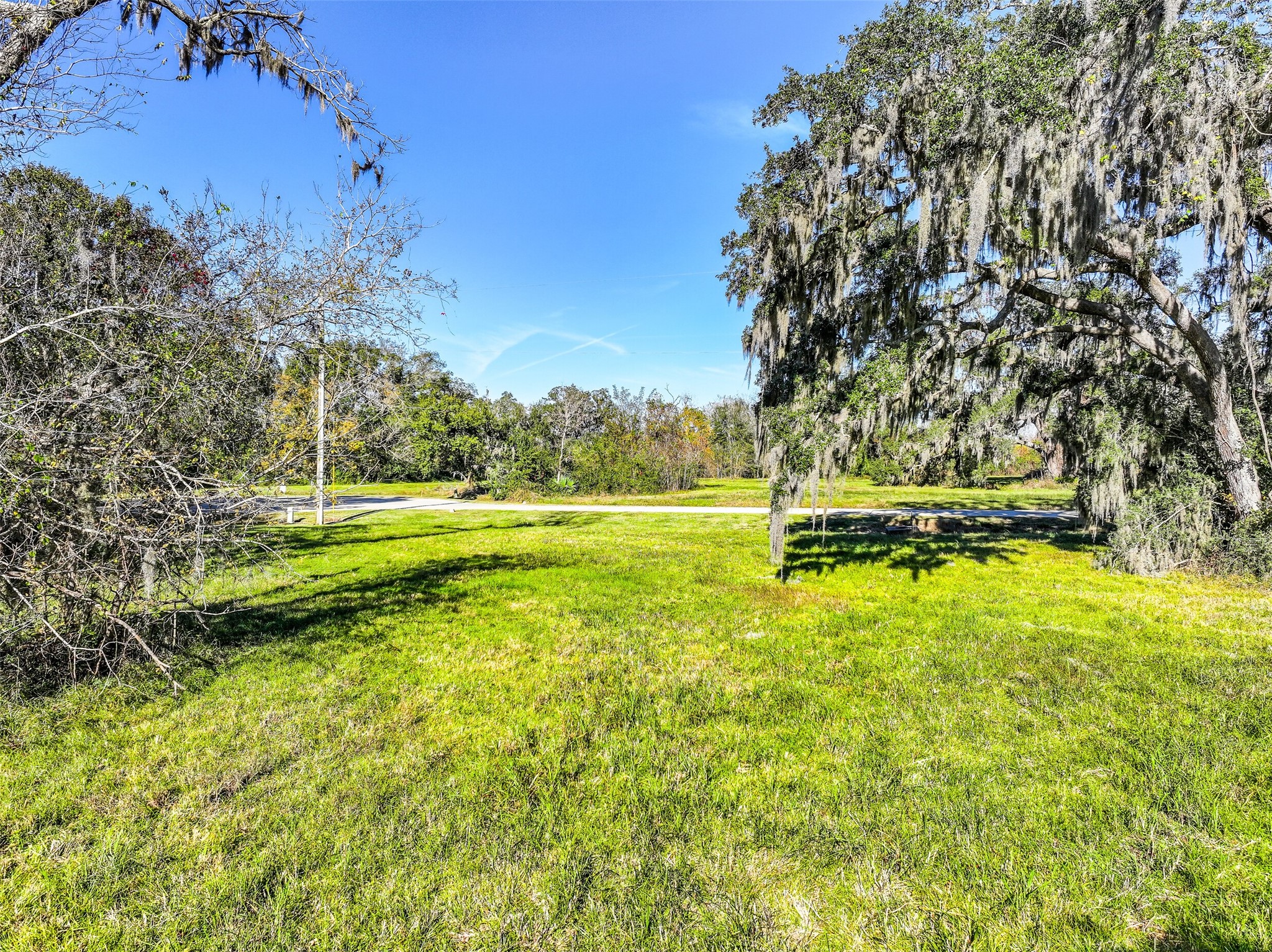 1031 Winchester Trail Angleton, TX 77515 - Photo 4 of 19 a view of a yard with swimming pool