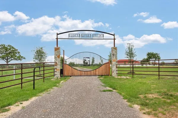 a view of a garden with large trees
