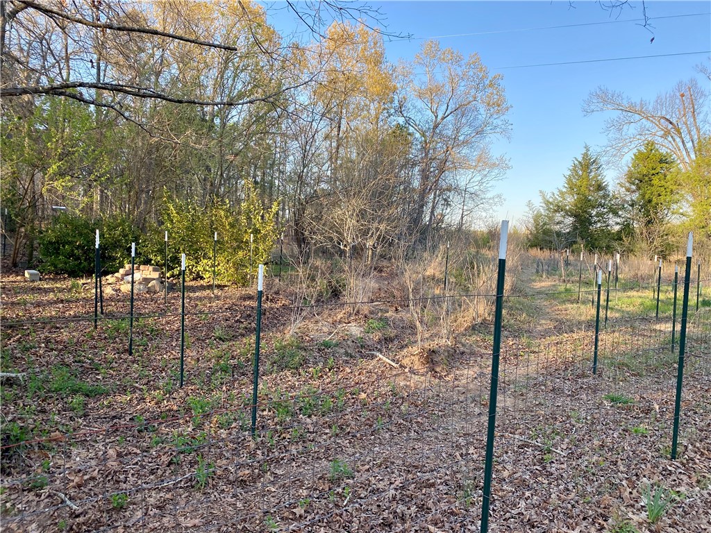 152 Troy Road Abbeville, SC 29620 - Photo 11 of 22