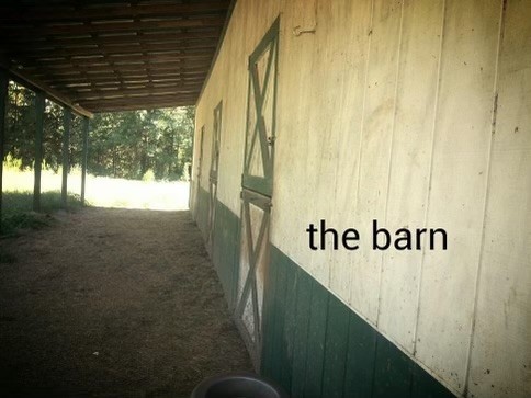 152 Troy Road Abbeville, SC 29620 - Photo 7 of 22