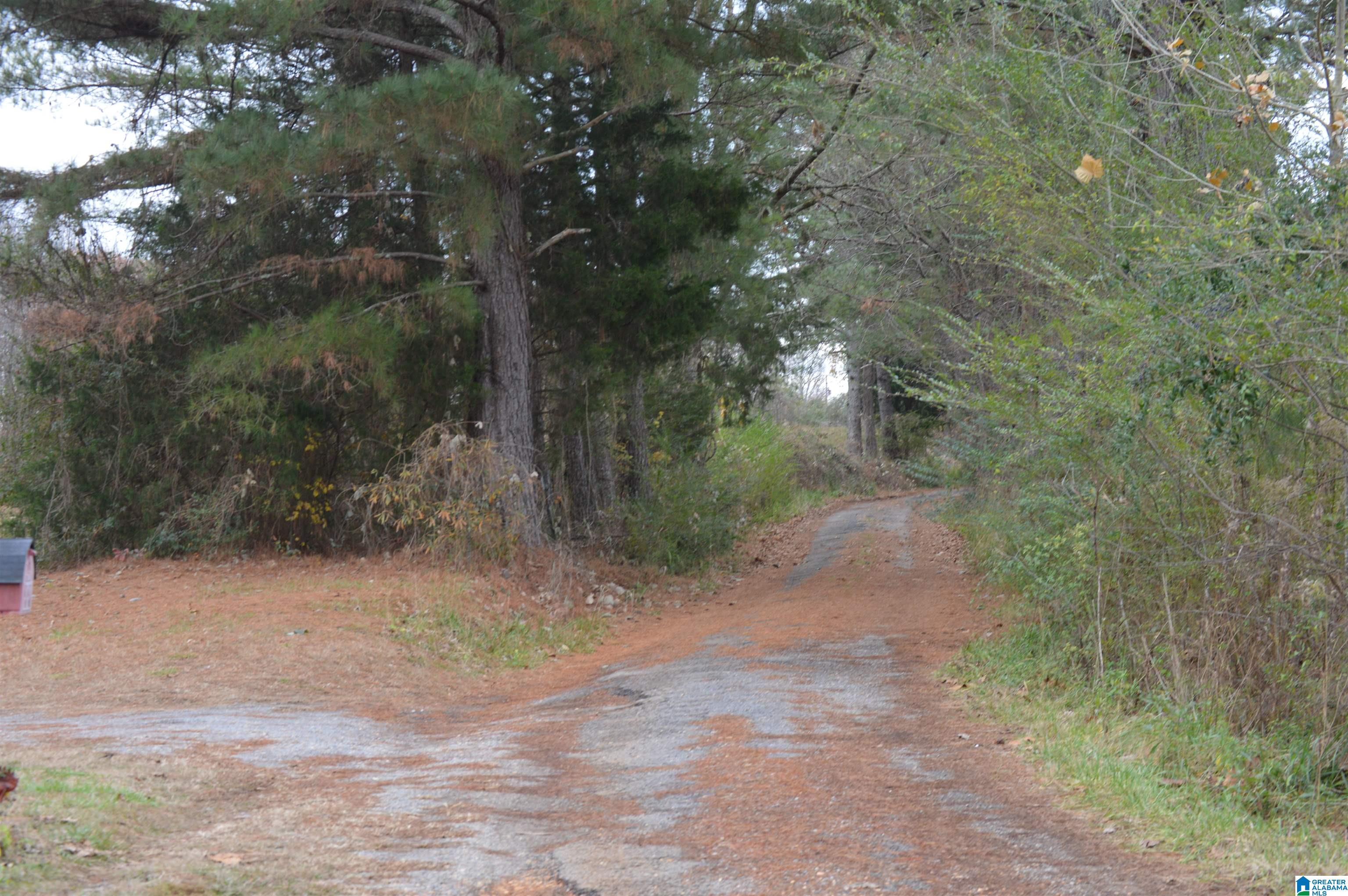 272 County Road 143 Arley, AL 35541 - Photo 29 of 30