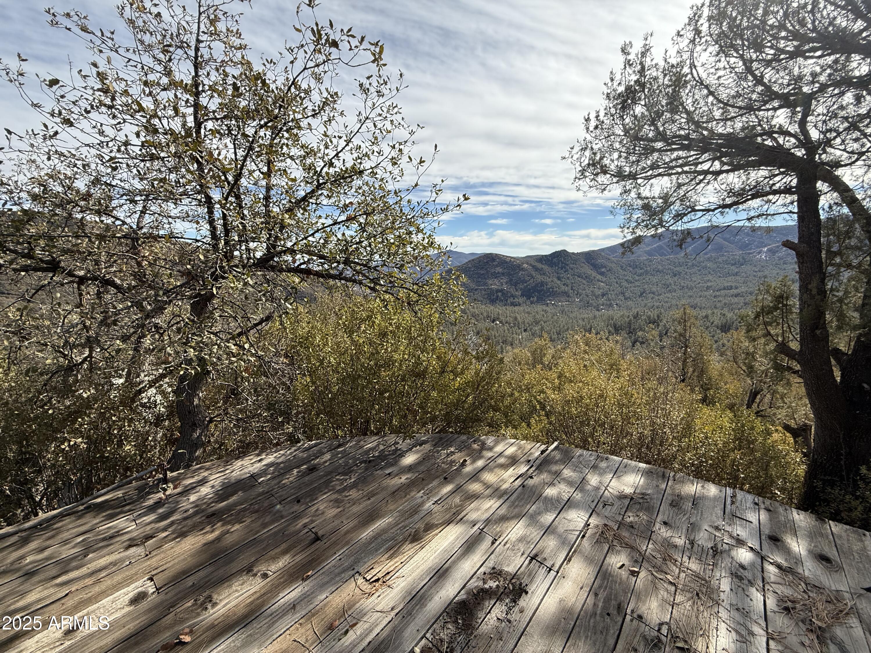 6358 Mountain View Road Crown King, AZ 86343 - Photo 13 of 42 a view of a yard with a tree