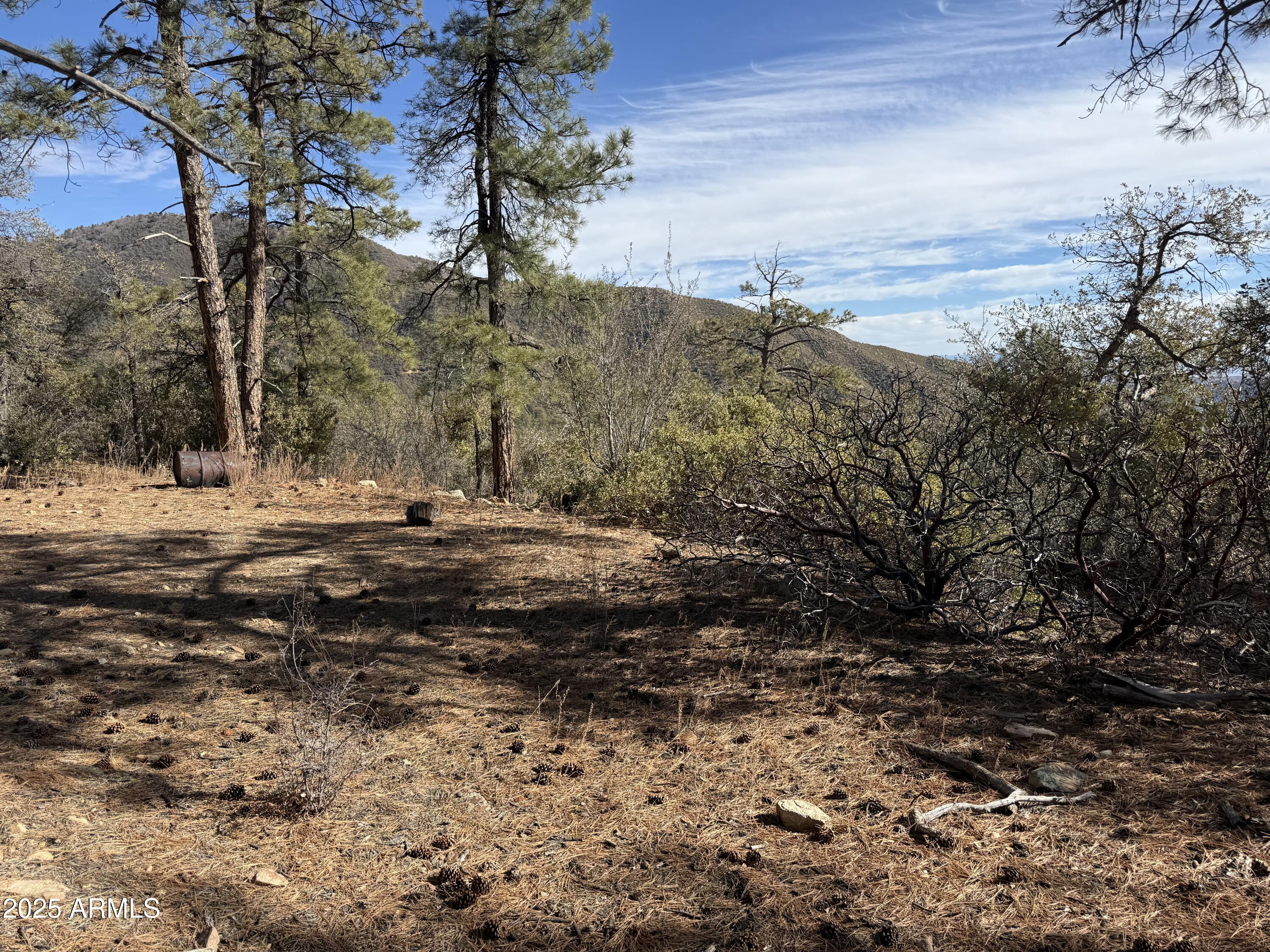 6358 Mountain View Road Crown King, AZ 86343 - Photo 37 of 42 a view of dirt yard with mountain view