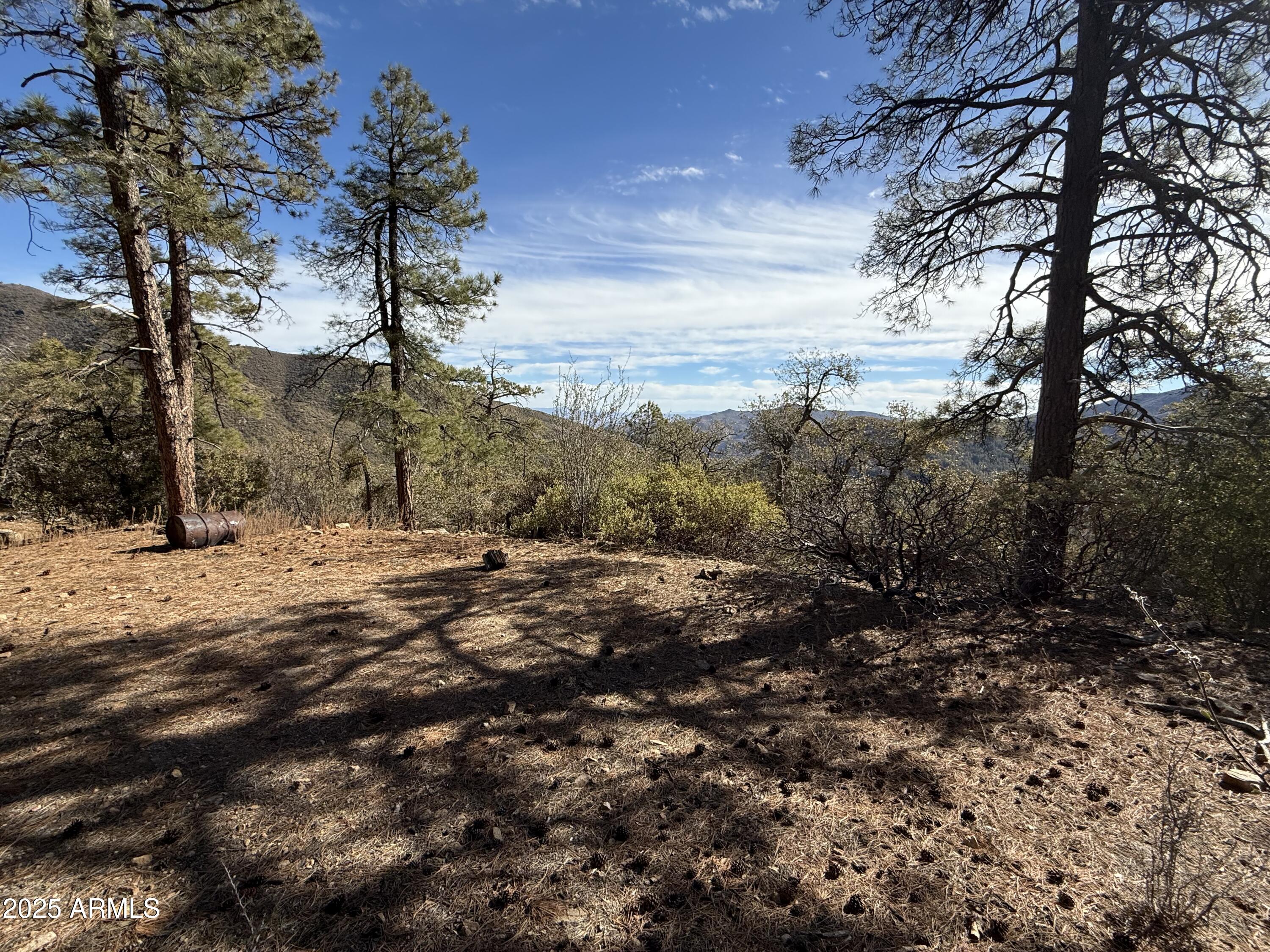 6358 Mountain View Road Crown King, AZ 86343 - Photo 38 of 42 a view of a yard with trees
