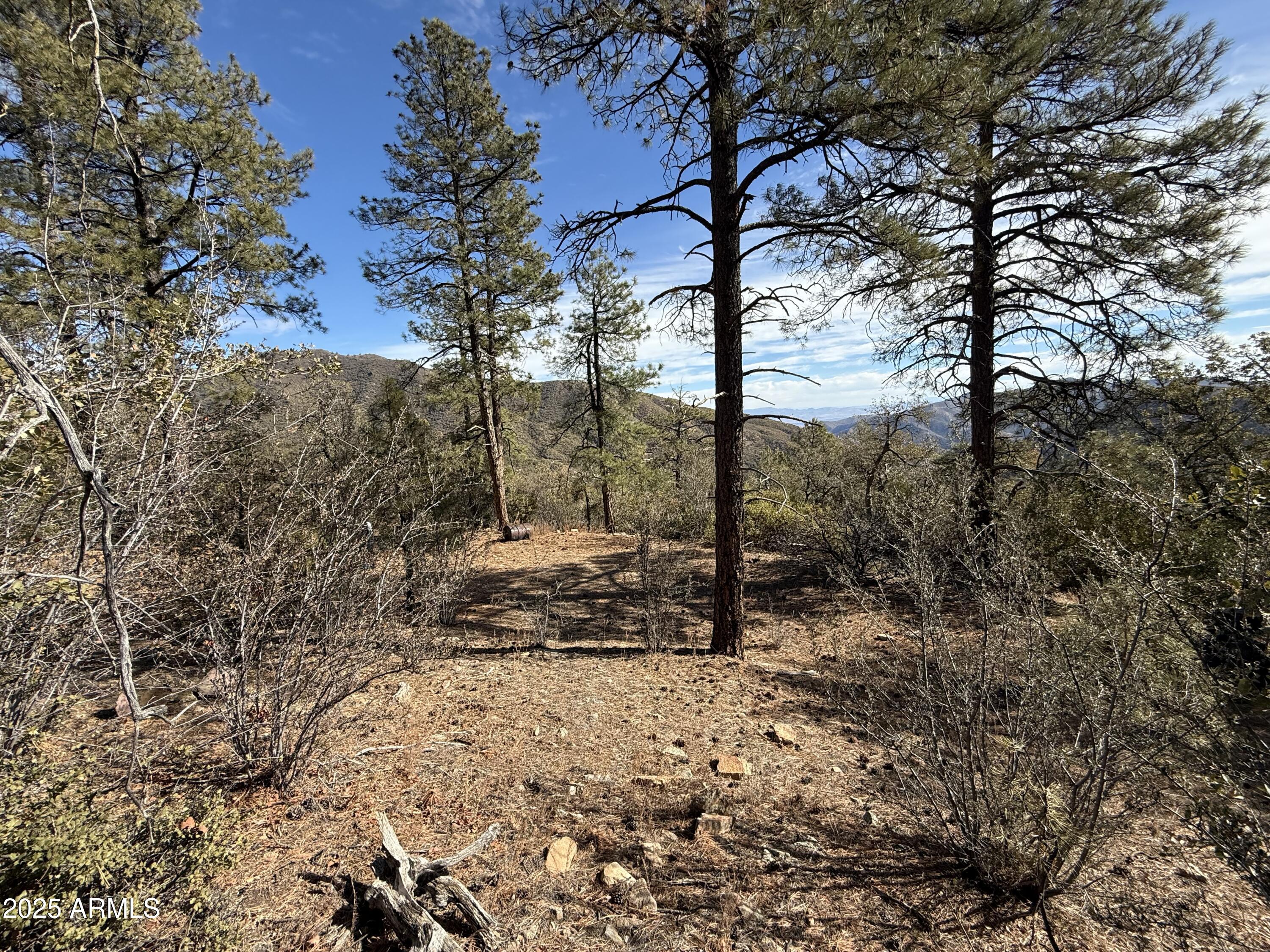 6358 Mountain View Road Crown King, AZ 86343 - Photo 39 of 42 a view of a yard with trees