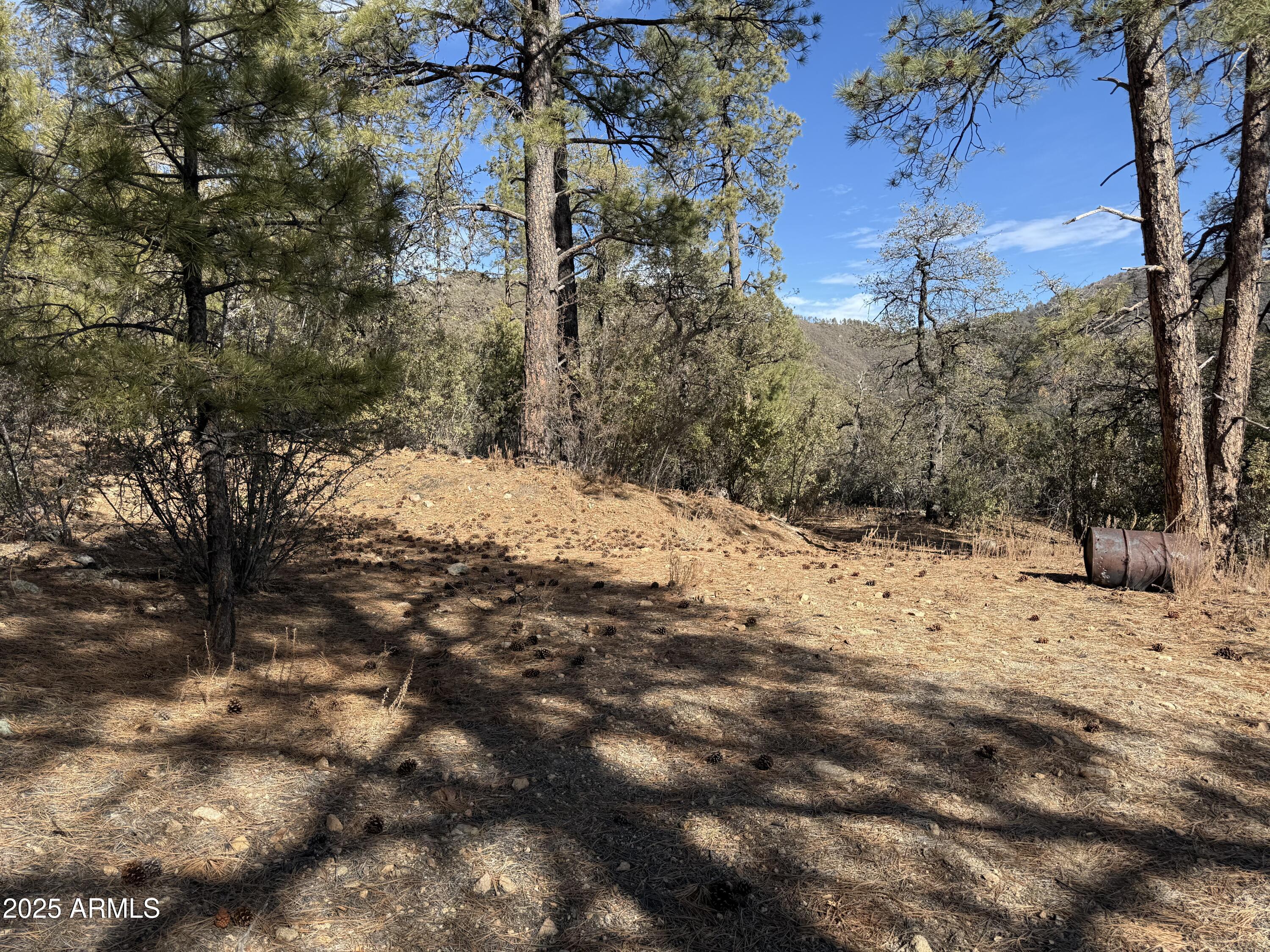 6358 Mountain View Road Crown King, AZ 86343 - Photo 8 of 42 a view of a snow in the yard
