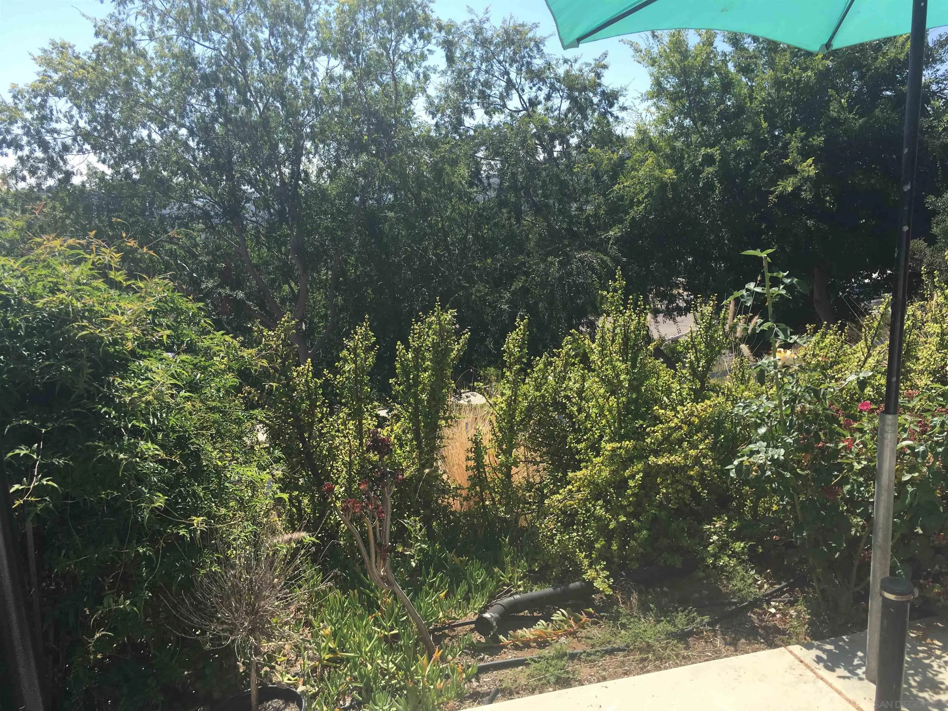 14631 Twin Peaks Road Poway, CA 92064 - Photo 11 of 12 a view of a tree