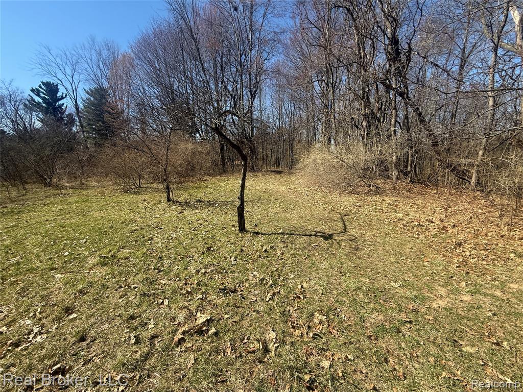 1802 North Elba Road Lapeer, MI 48446 - Photo 48 of 58 Gallery Image 48