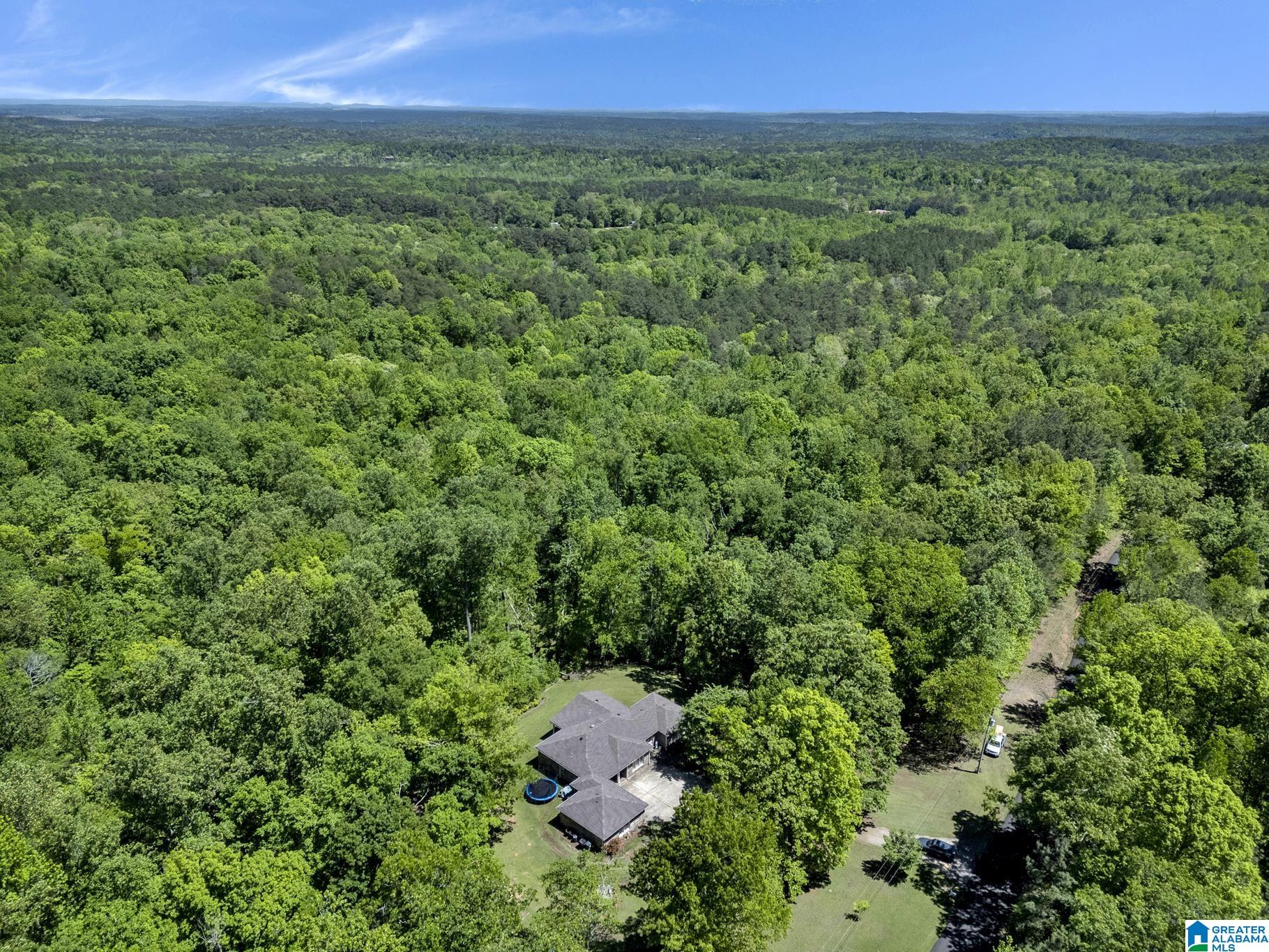 7219 Sellers Road Dora, AL 35062 - Photo 39 of 39