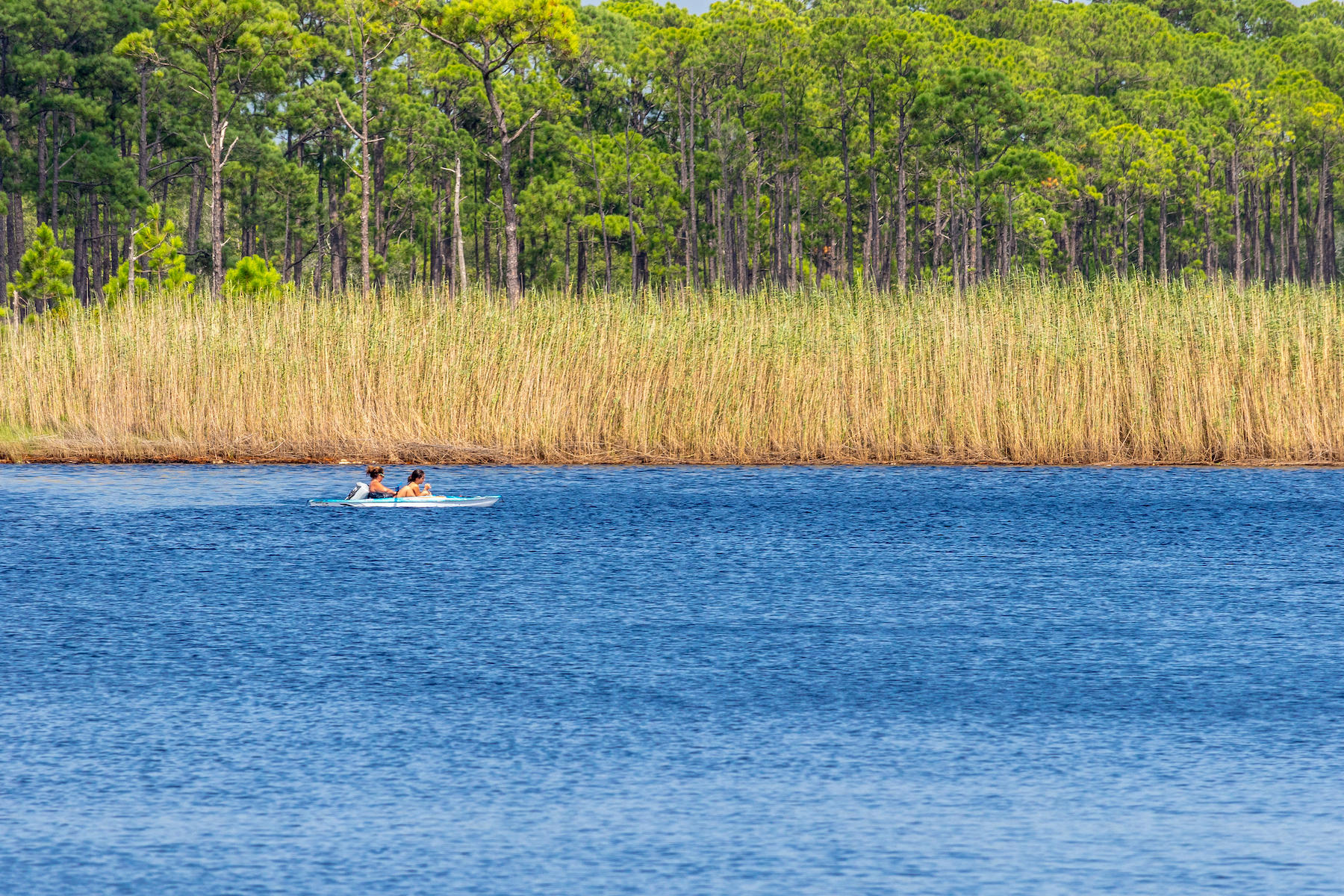 177 Grayton Trail Road Santa Rosa Beach, FL 32459 - Photo 75 of 78