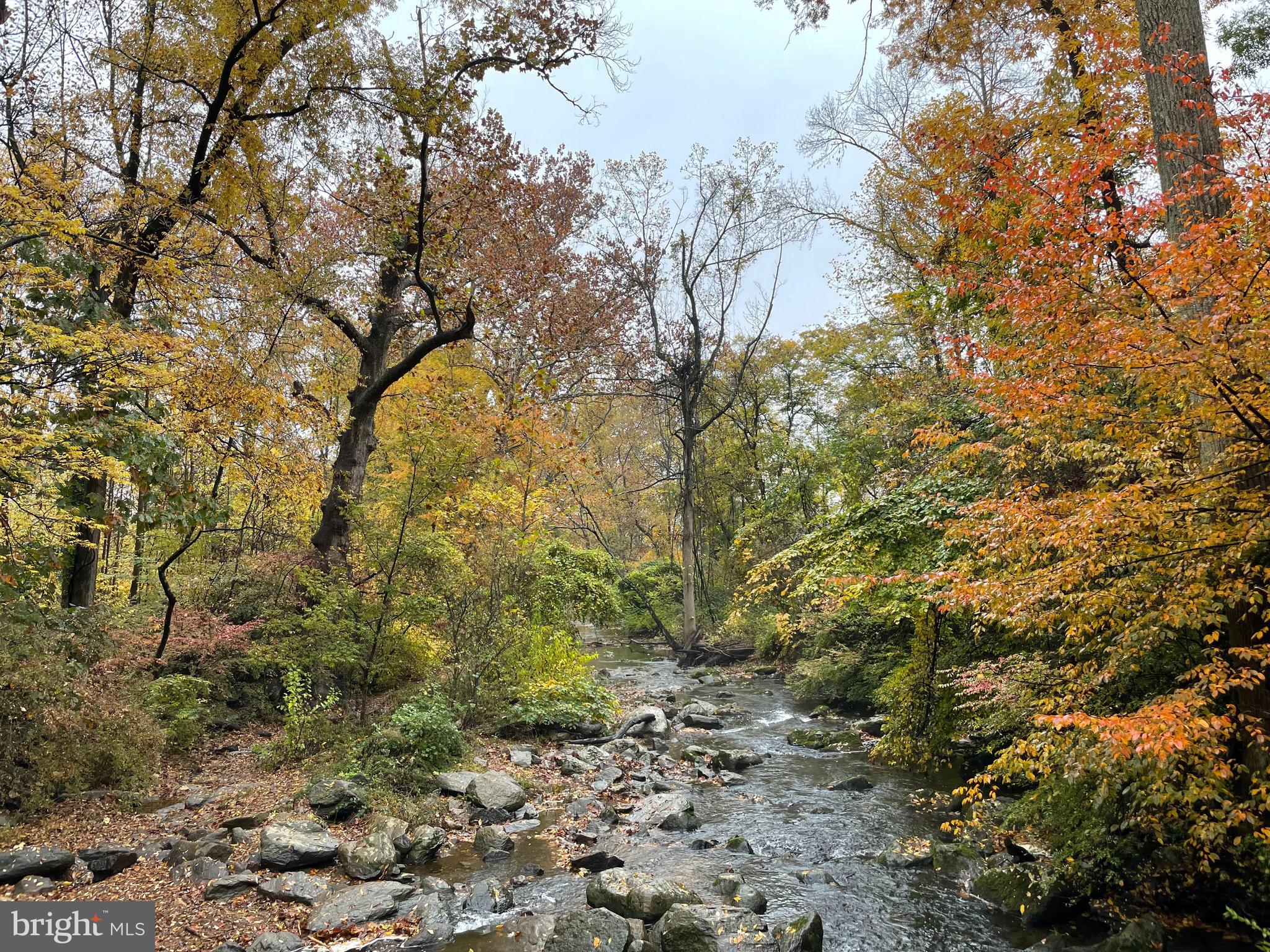 3300 Sawmill Road Newtown Square, PA 19073 - Photo 29 of 29 a yard with a tree