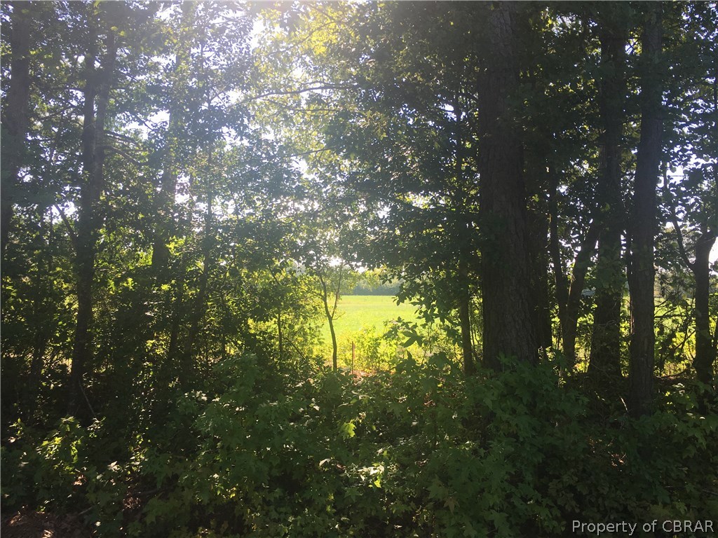 0 Peach Point Road Mathews, VA 23109 - Photo 11 of 14