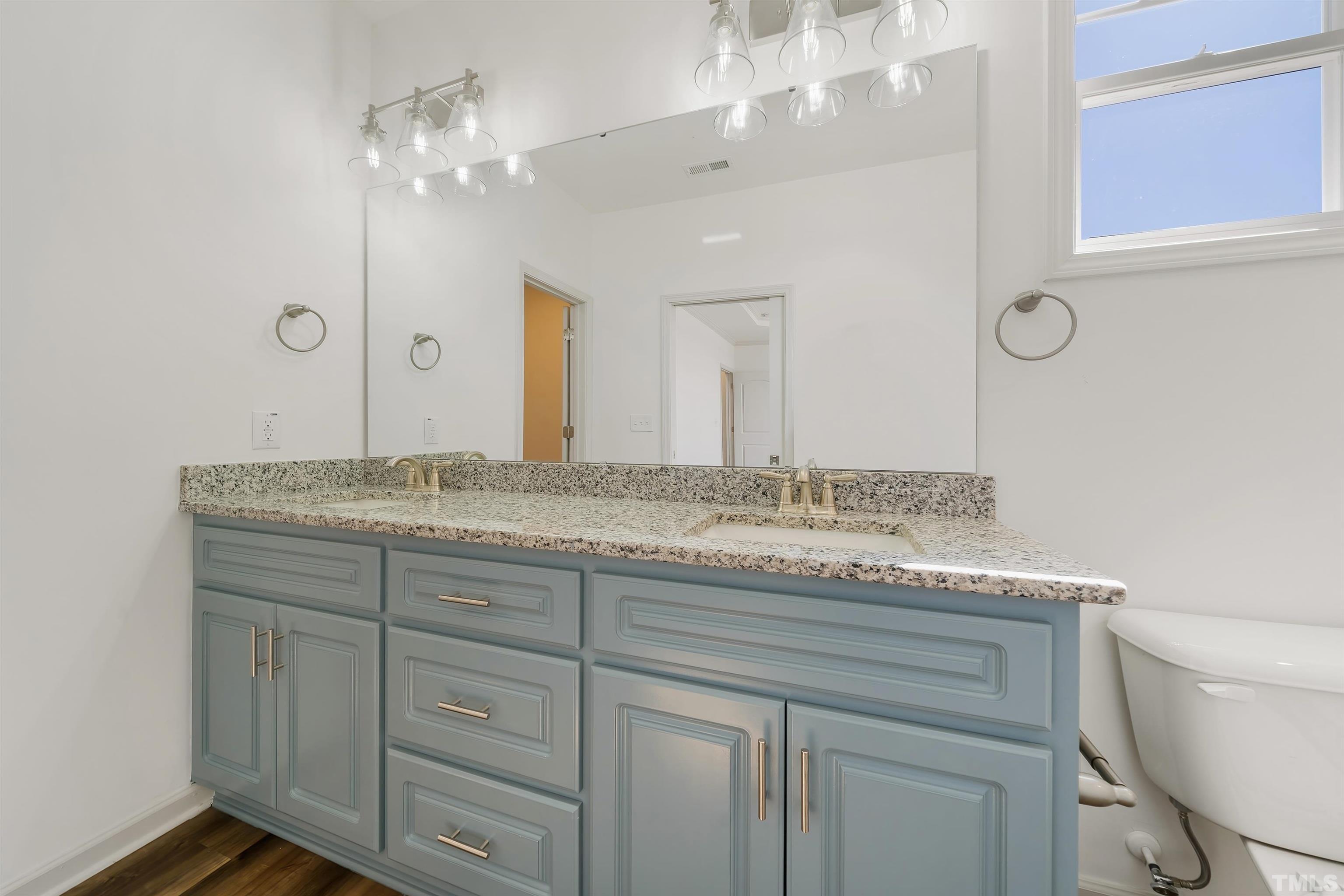 4107 Needham Road Bailey, NC 27807 - Photo 13 of 24 a bathroom with a granite countertop sink a toilet and a mirror