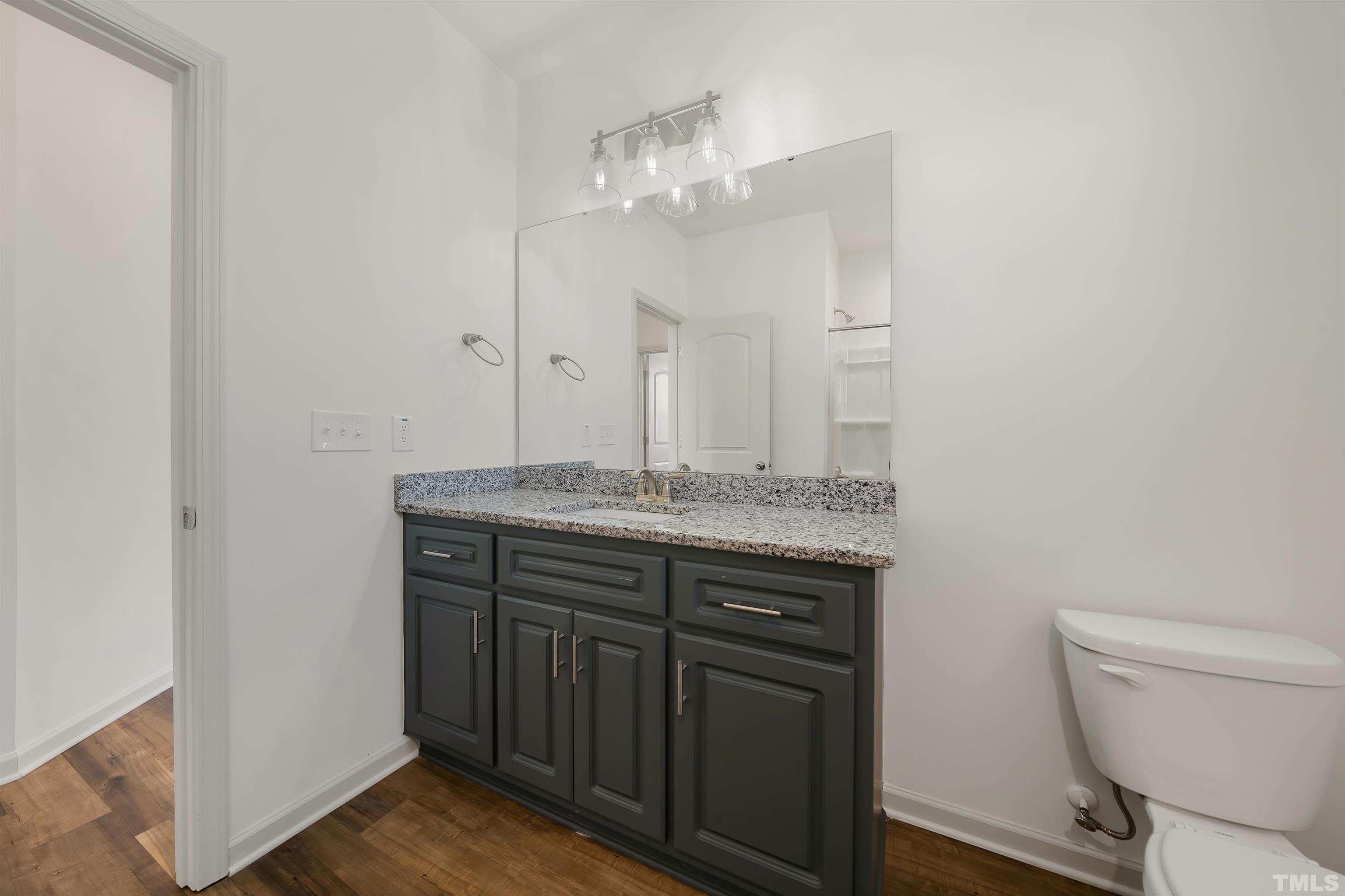 4107 Needham Road Bailey, NC 27807 - Photo 20 of 24 a bathroom with a granite countertop sink a toilet and a mirror