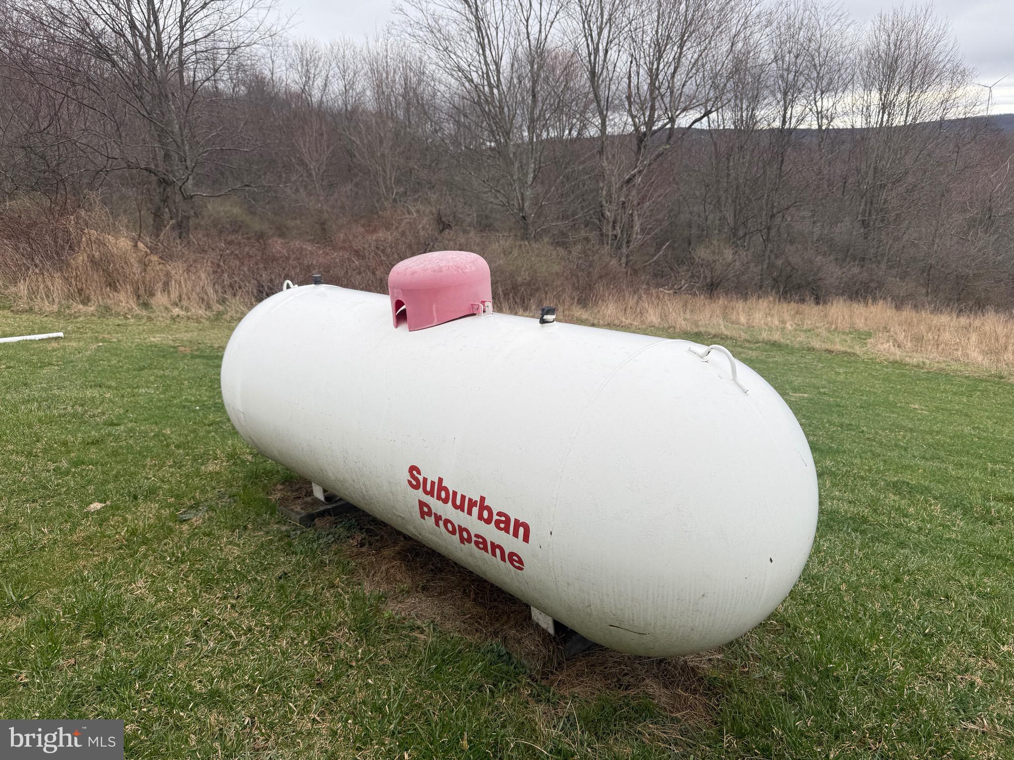 5127 Emoryville Road Elk Garden, WV 26717 - Photo 20 of 46