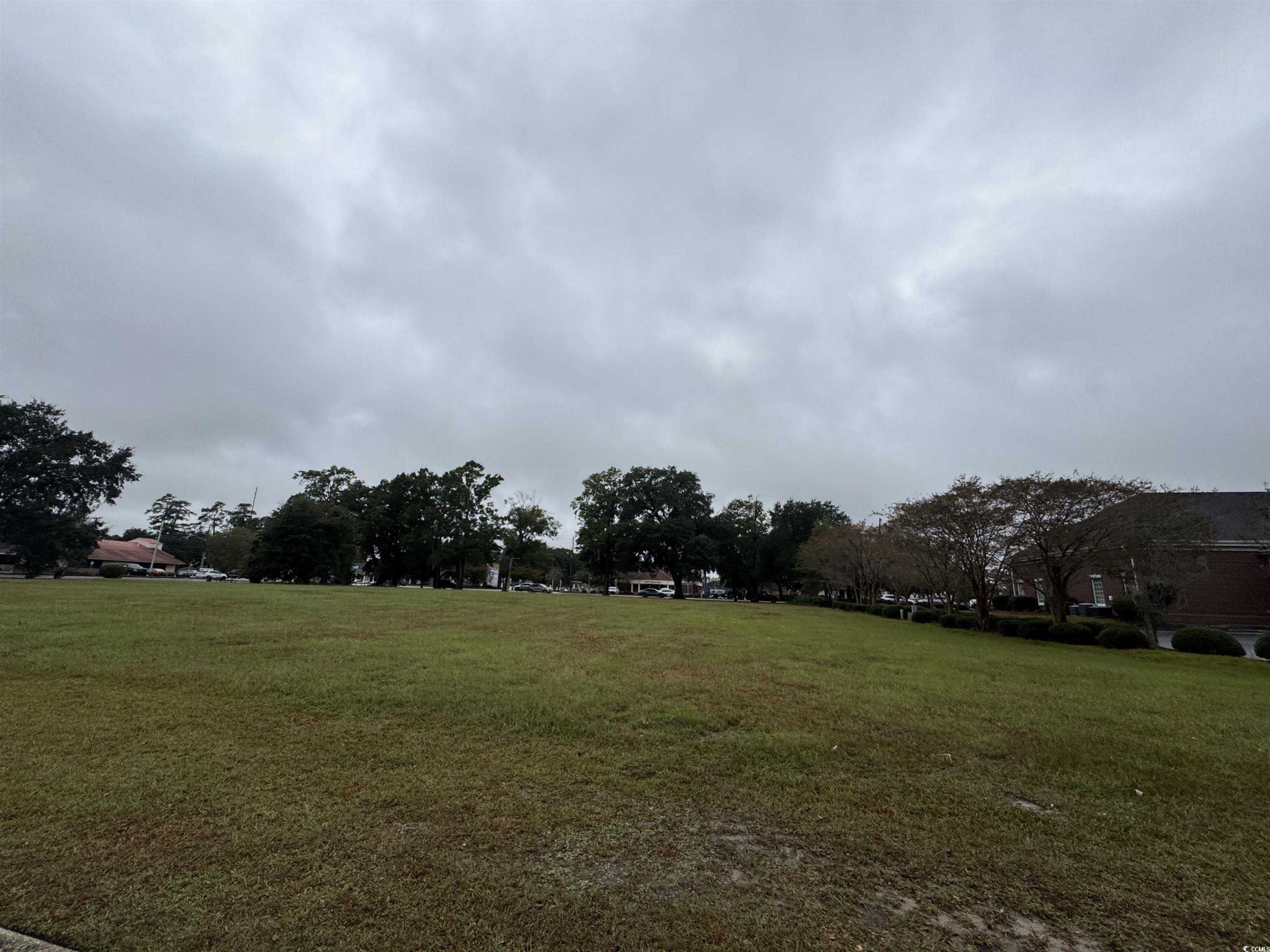 0 North Fraser Street Georgetown, SC 29440 - Photo 2 of 2 View of green lawn