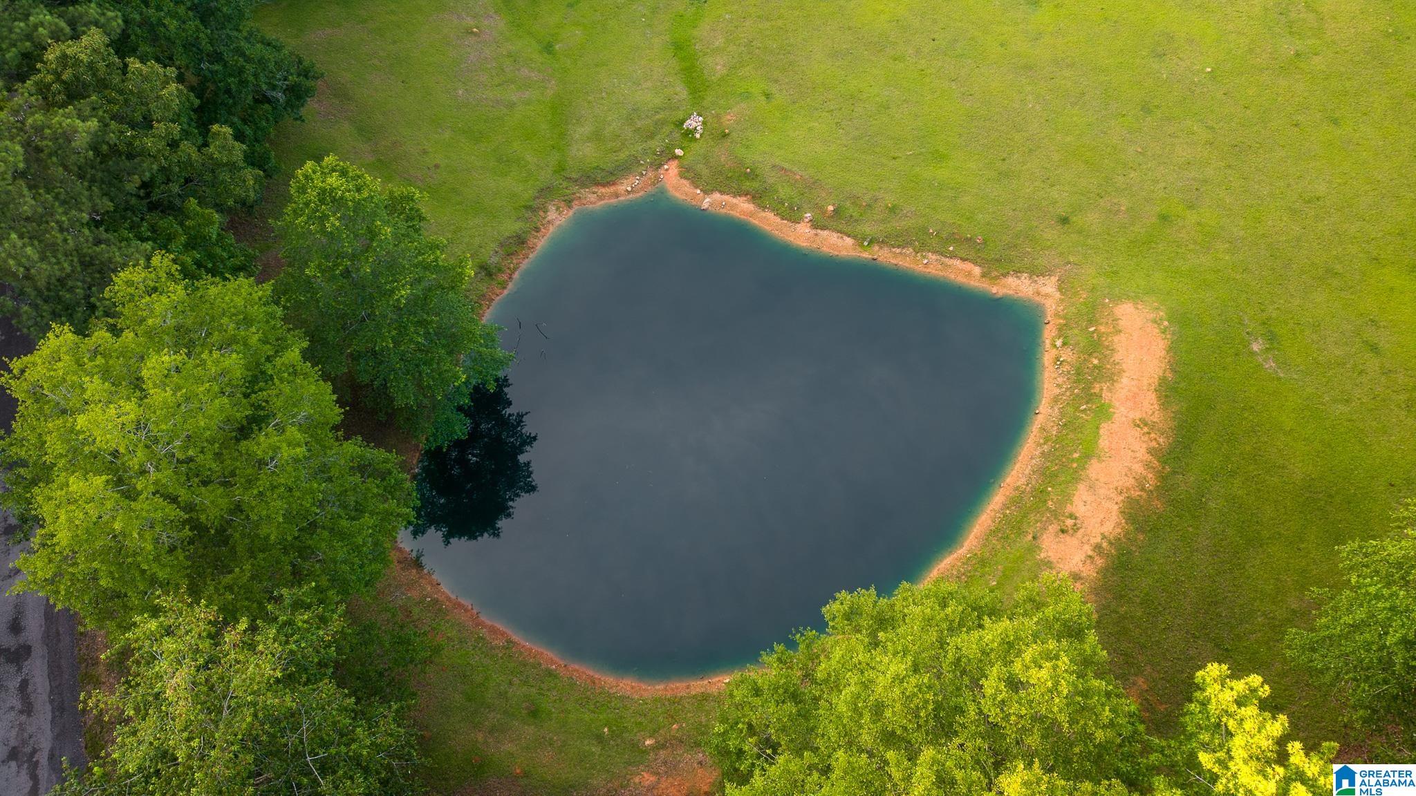 271 Little Pond Road Pell City, AL 35128 - Photo 44 of 86