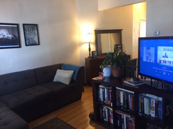 281 West 3rd Street, Unit 1 Boston, MA 02127 - Photo 4 of 11 a living room with furniture flowerpot and a window