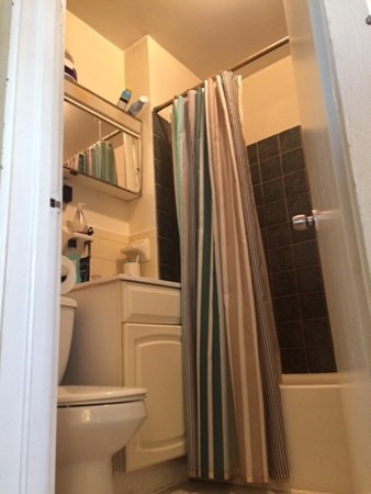 281 West 3rd Street, Unit 1 Boston, MA 02127 - Photo 9 of 11 a bathroom with a sink a toilet and a shower