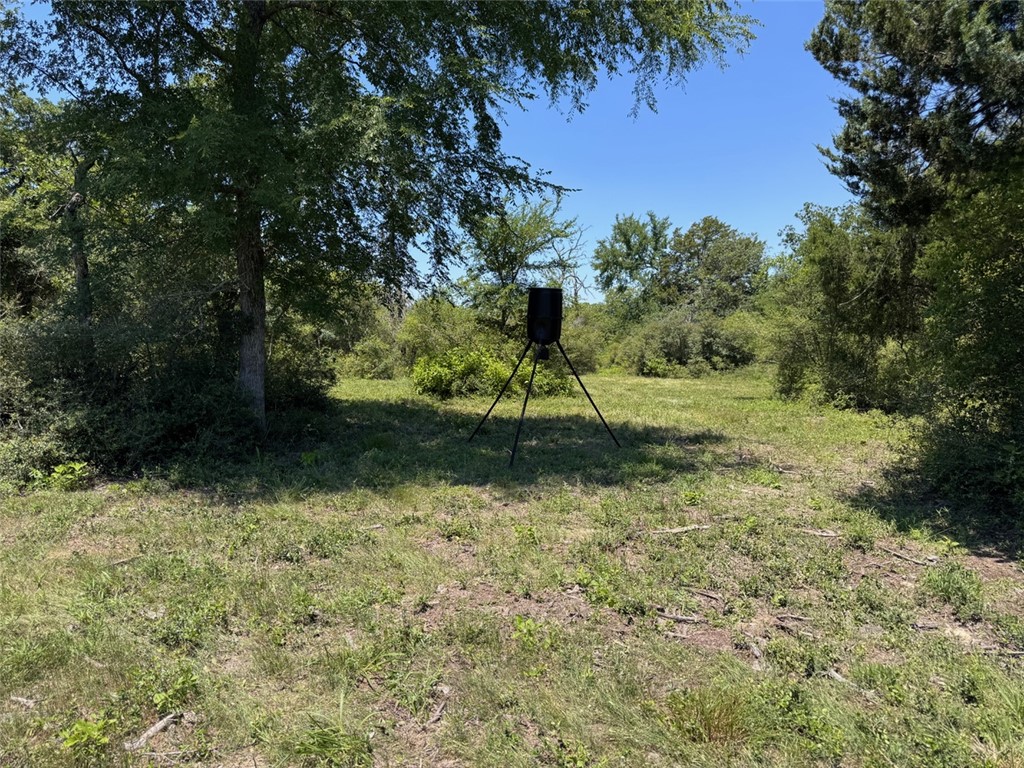 3454 Co Road Marquez, TX 77865 - Photo 27 of 35 a view of garden
