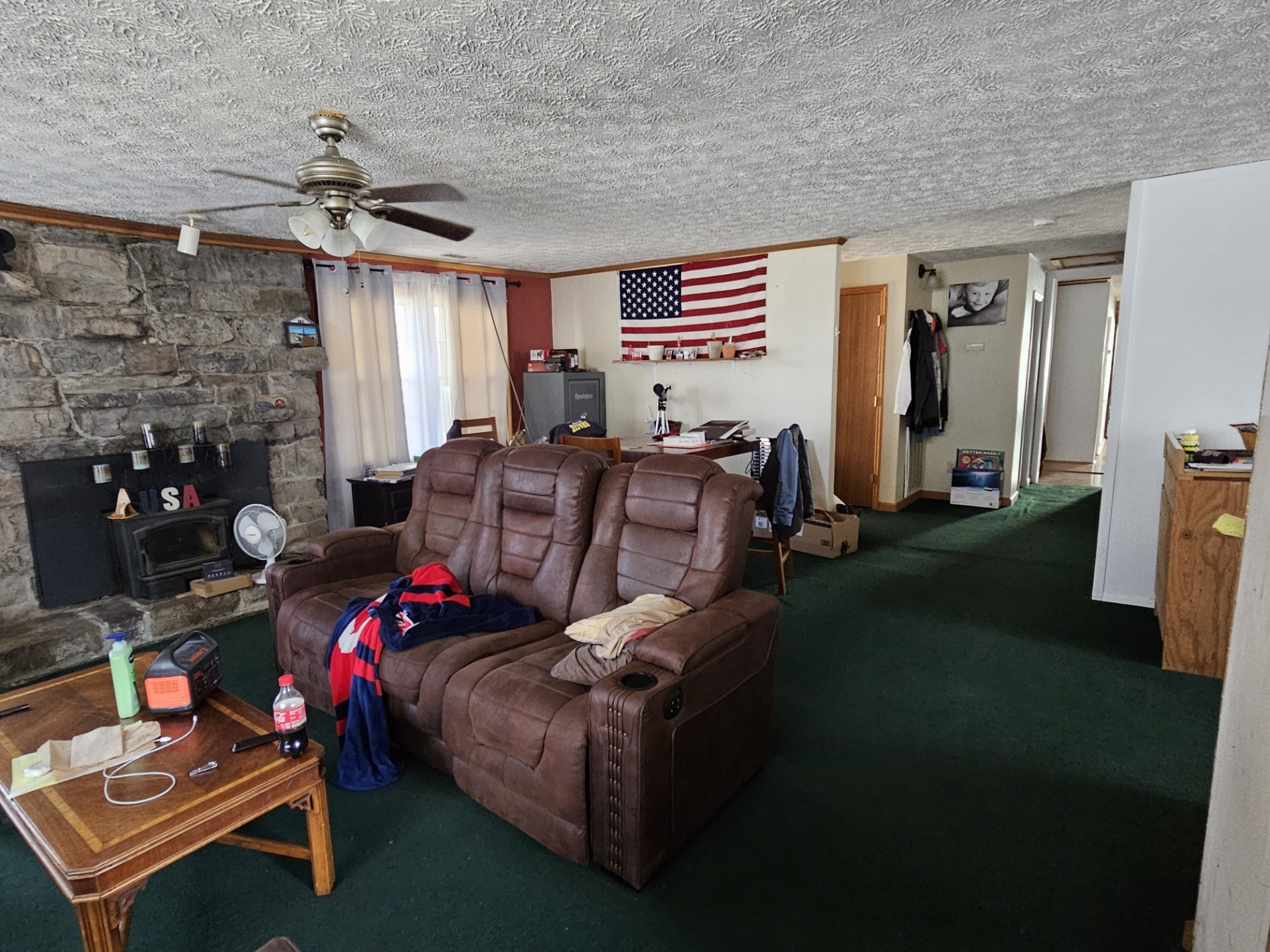 210 Twin Oaks Road McMinnville, TN 37110 - Photo 11 of 35 a living room with furniture and a fireplace