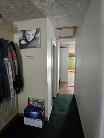 a bathroom with a toilet and a shower curtain
