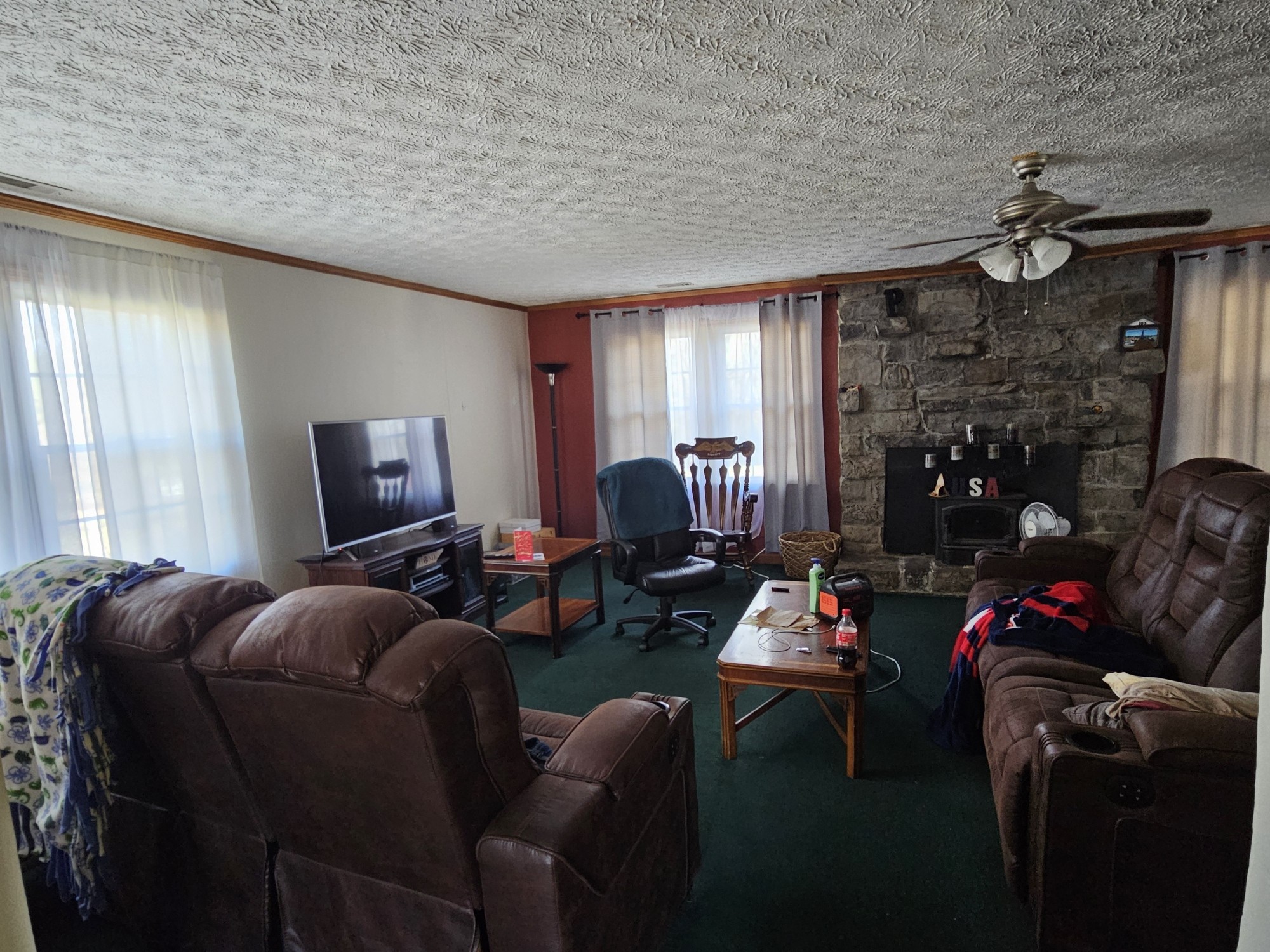 210 Twin Oaks Road McMinnville, TN 37110 - Photo 10 of 35 a living room with furniture a flat screen tv and a window