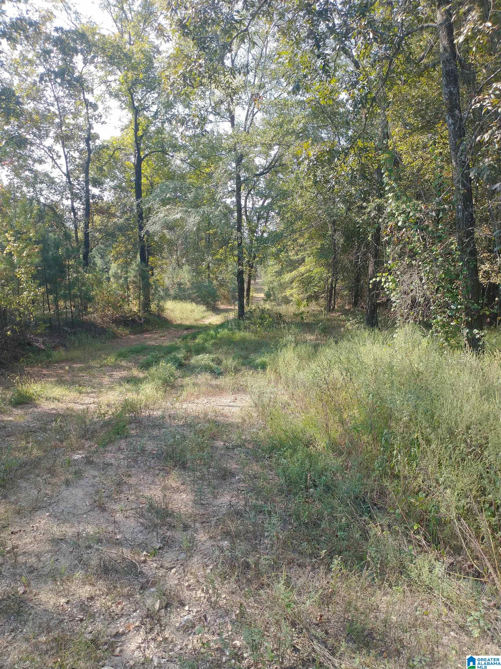 8100 Mckesie Street, Unit 81 ACRES Riverside, AL 35135 - Photo 6 of 18