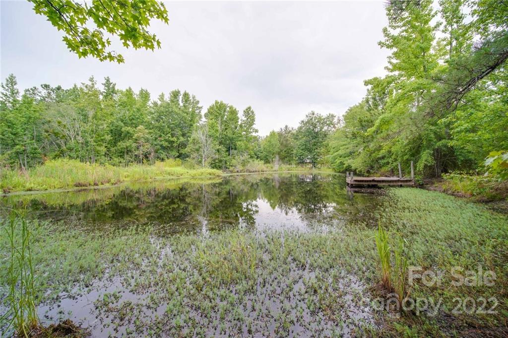 889 Baker Road Jefferson, SC 29718 - Photo 19 of 43 Gallery Image 19