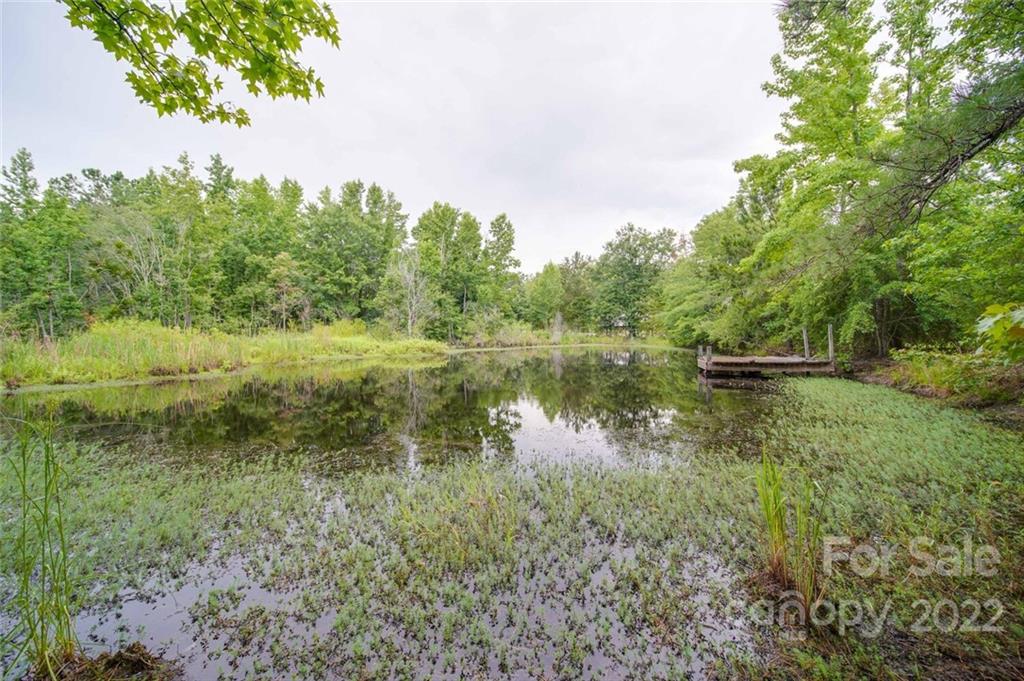 889 Baker Road Jefferson, SC 29718 - Photo 20 of 43 Gallery Image 20