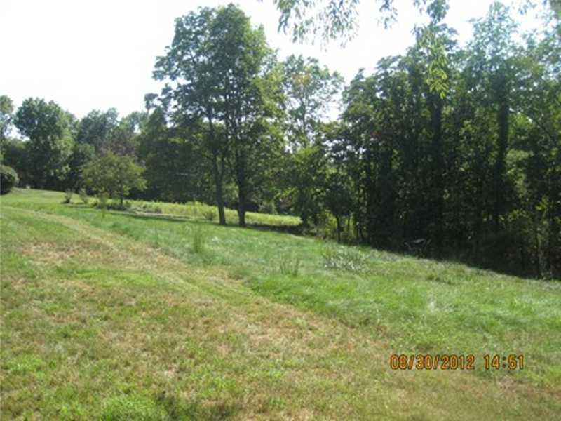 456 Independence Road Aliquippa, PA 15001 - Photo 3 of 6 Yard/Garden.