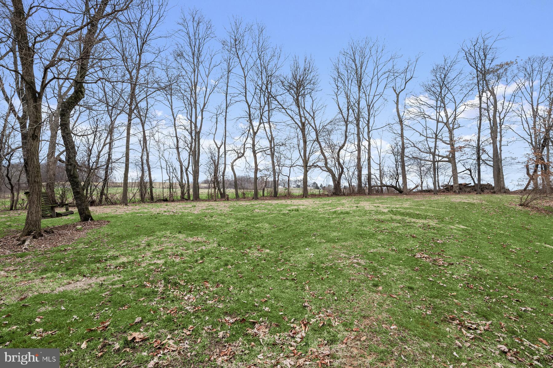 3896 Bark Hill Road Union Bridge, MD 21791 - Photo 36 of 39 Wooded lot w/ mature trees & landscape