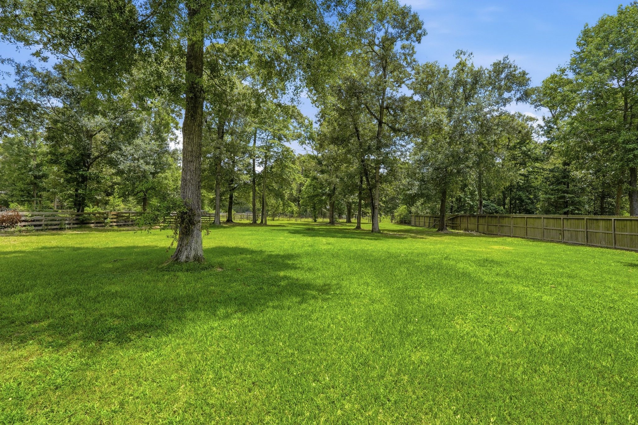 9217 Silver Back Trail Conroe, TX 77303 - Photo 43 of 50