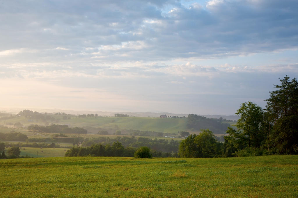1166 James Ridge Road Loudon, TN 37774 - Photo 4 of 11 james ridge _0010